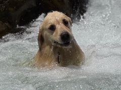 -西岭雪山大飞水景区