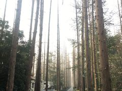 -上海怡沁园度假酒店