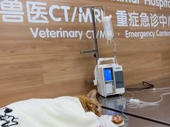 -爱侣宠医·鹦鹉专科·小型哺乳类·异宠专科(灵石路店)