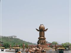 -龙口南山旅游景区