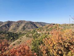 -香山公园