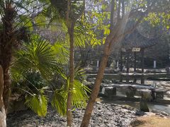 -镇江市南山风景名胜区竹林景区