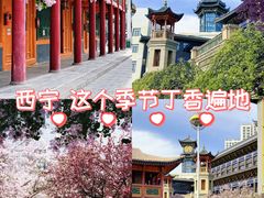 -西宁市东关清真大寺