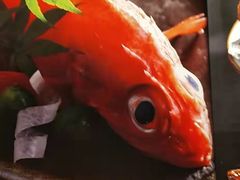 -渔藤(万柳东路店)