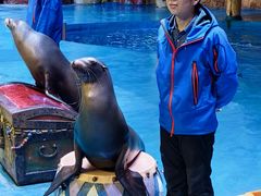 -烟台海昌鲸鲨海洋公园