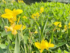 -荔枝公园(福田区)