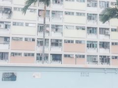 -彩虹村