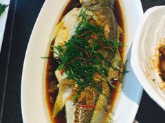 -梧桐餐厅(泉城路店)