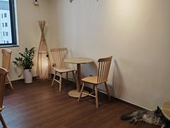 -楼上猫咖(罗湖店)