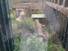 -悦隆庄温泉度假酒店