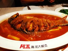 -阿五黄河大鲤鱼(英协路店)