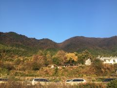 -塔川景区