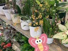 -无锡文化工艺品市场(槐古路店)