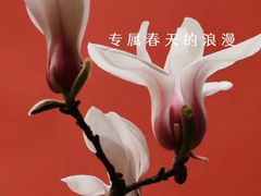 -东华门大街小区