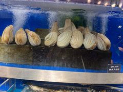 -奔海甄选·活鲜刺身铁板烧自助(太原里店)