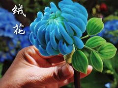 -中国丝业博物馆