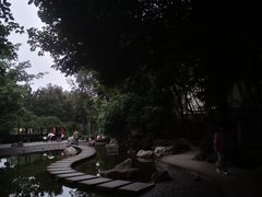-成都市活水公园