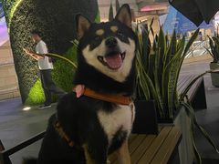 -星巴克(深圳领航里购物中心店)