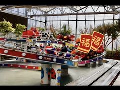 -南宫五洲植物乐园