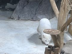 -海合安青岛极地海洋公园