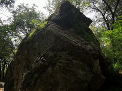 -阳台山自然风景区