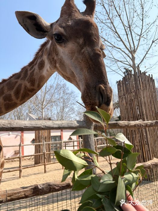 郑州市动物园图片