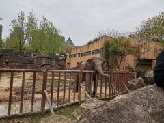 -南昌动物园