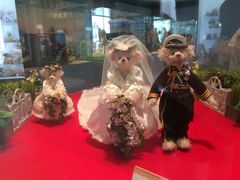 -济州岛泰迪熊博物馆