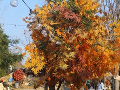 -HERRE·FARM 赫尔露营农场·团建聚会包场