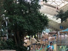 -杭州开元森泊度假乐园