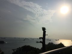 -圣淘沙天际线斜坡滑车