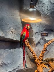 -Zoolung Zoolung动物主题公园(海信广场店)