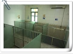 -鑫艺宠物美容培训学校