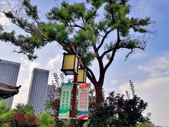 -西海子公园