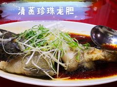 -九號渔港·蒸汽海鲜·粤菜茶点(八卦岭店)