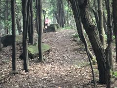 -南山植物园