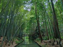 -同里国家湿地公园