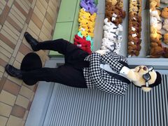 泰迪熊博物馆-济州岛泰迪熊博物馆