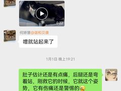 -谐和贝康宠物医院24小时·宠保定点(急重症转诊中心)