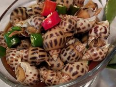 香螺-八分饱·西津会(西津渡店)