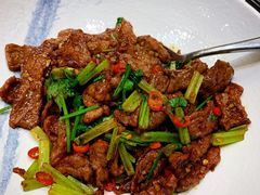 -新光酒家·河豚·海鲜·蟹料理(浦东店)