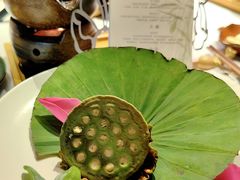 -叶叶菩提(太原别墅店)