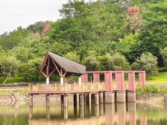 -神光山国家森林公园