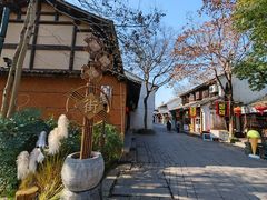 -西溪国家湿地公园