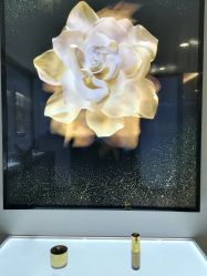 -安利上海体验馆