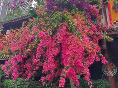 -徐鼎盛民间菜(上筑店)