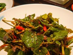 -蓉城小馆(科兴店)