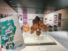 -北京周口店北京人遗址博物馆