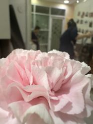 -摩瘦纤体订制减肥