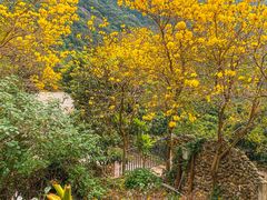 -广州市石门国家森林公园